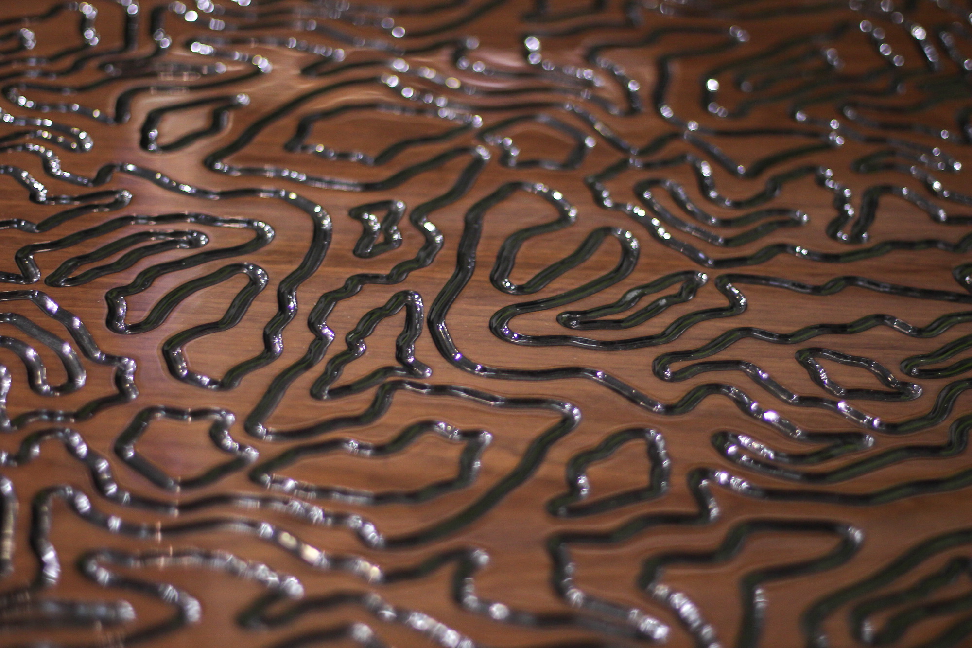 CORTECCIA
